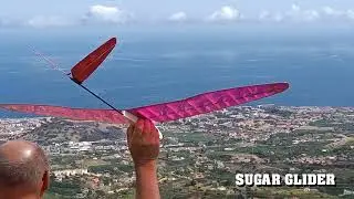 Sugar glider flight in Santa Cruz