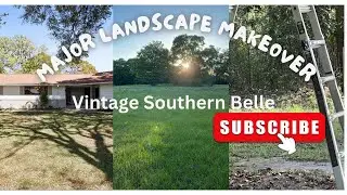 Landscape Makeover/ Southern Style Landscape/ Curb Appeal