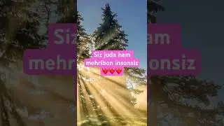 ASMR. Siz juda mehribon insonsiz 