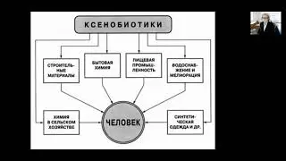 Основные виды антропогенных воздействий на окружающую среду и их последствия