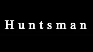 Huntsman (Spider Game)