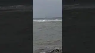 Девочка превратилась в чайку смотреть до концаааааааа🏄‍♀️👻🦢