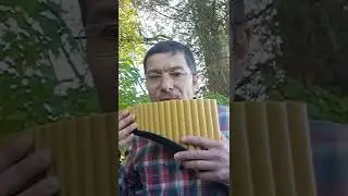 Одинокий пастух: когда именно вступает панфлейта(в самом начале)