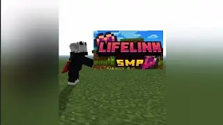 My application for the Lifelink Smp