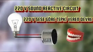 220V ses/müzik ritmine göre yanan devre | 220V | sound/music reactive circuit | basit | simple | DIY