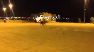 العين حق .. لمن لا يؤمن بذلك شاهد الفيديو