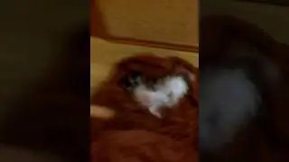 После купания вытирания😉😂😂😂