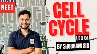 "🔬 Understanding the Cell Cycle: Stages, Phases, and Regulation Explained 🧬"