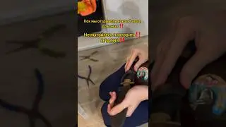 ОПАСНОСТЬ‼️ Не пытайся повторить ⚠️ 