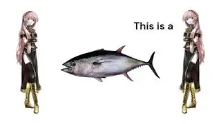 luka tuna