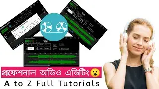 How to Get Professional Audio Editing with Lexis Audio Editor!