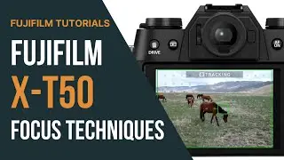 Mastering Focus on the Fujifilm X-T50 | AF Modes, Face Detection & Manual Focus Tools