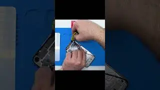 Замена дисплея и стекла камеры Honor 20 