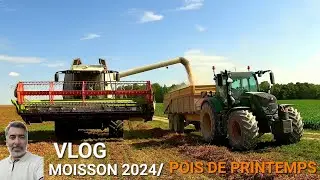 VLOG MOISSON  2024 : POIS DE PRINTEMPS🌿