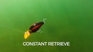 Swimming Action: Storm Wiggle Wart