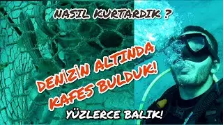 Scuba Dalışında Kafesin İçinde Yüzlerce Balık Bulduk | HAVUZ GİBİ BERRAK DENİZ - HATAY