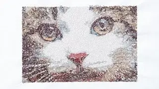 BERNINA Embroidery Software 8 — more creativity in 3D