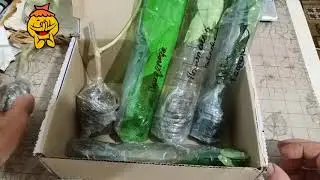 Посылка с цитрусами от Сергея Маринкова