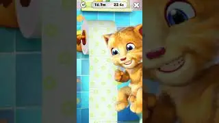Talking Ginger says GIRL