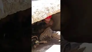 Чемпионат МЧС по многоборью