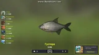 Рыбалка в ВК 