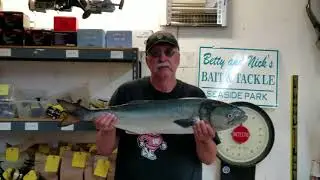 5 21 18 George 14 Pound Bluefish