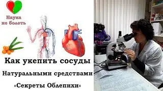 КАК УКРЕПИТЬ СОСУДЫ -||- СЕКРЕТЫ ОБЛЕПИХИ -||- ЛЕЧЕНИЕ ВАРИКОЗА НАРОДНЫМИ МЕТОДАМИ