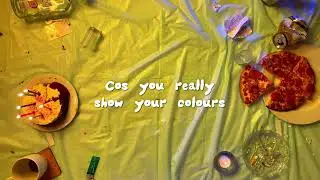 SOFY - Chameleon (DIY Lyric Video)