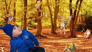 Ярослав в парке дикой природы🏞️