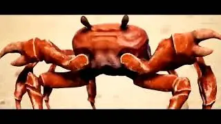 Крабовый рэйв 10 часов