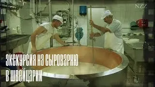 Экскурсия на Швейцарскую молочную ферму