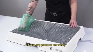 HOW TO CLEAN UP POOP ON THE WEASY SMART POTTY