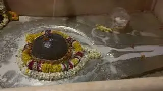 भगवान शिव का अभिषेक #ॐ_नमः_शिवाय || काशी महामृतुंजय महादेव  varanasi #varanasi ।Om namah shivay