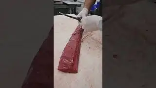 Trimming a Venison Backstrap 