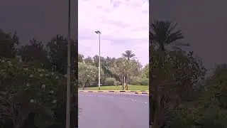 Drive through Riffa Bahrain