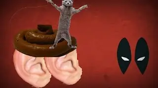 коты срут в уши