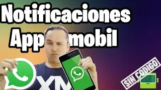 Notificaciones en App Mobil de NegocioBot