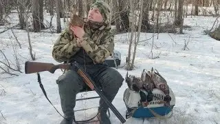 Охота с подсадными на селезня весной 2023