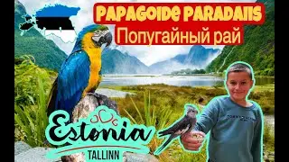 Контактный зоопарк с Папугаями. Papagoide Paradiis. ТАЛЛИНН.