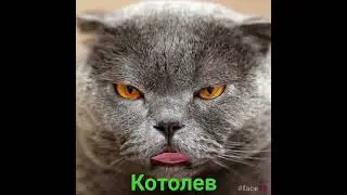 21 июля 2023 г.