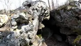 Динозаврик