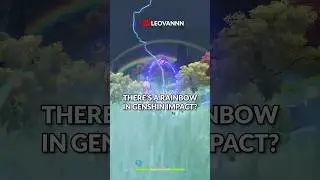 Rarest thing in Genshin Impact!