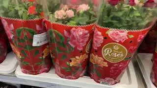 ЛЕРУА МЕРЛЕН.Волжский.Всё для сада - ОБЗОР! 28.02.2021.Первая часть.