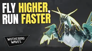 BEST ECHOES FOR MOBILITY (Ground / Flying / Misc.) - Wuthering Waves