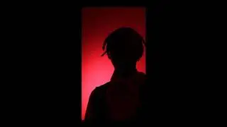 03 - Yunk Vino - Anormal (Prod. Nagalli x Celo) [Visualizer Gif]