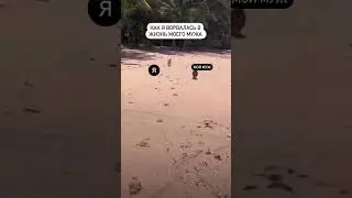 как она его вынесла!
