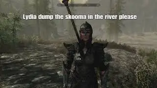 Skyrim Silliness