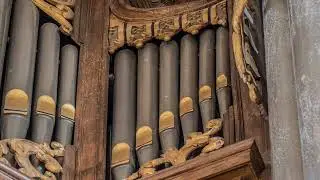 J.S. Bach - Sonata V in C Major (BWV 529)