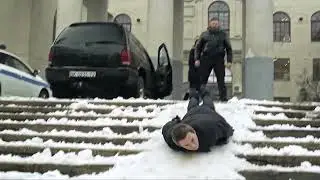 Новогодний пес. 31 декабря в 
