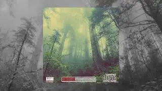 short freestyle type beat | tornado in the forest @_cjbeats